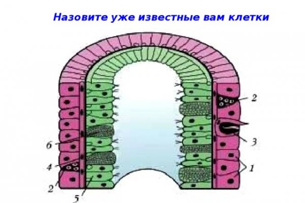 Как заказать на кракене